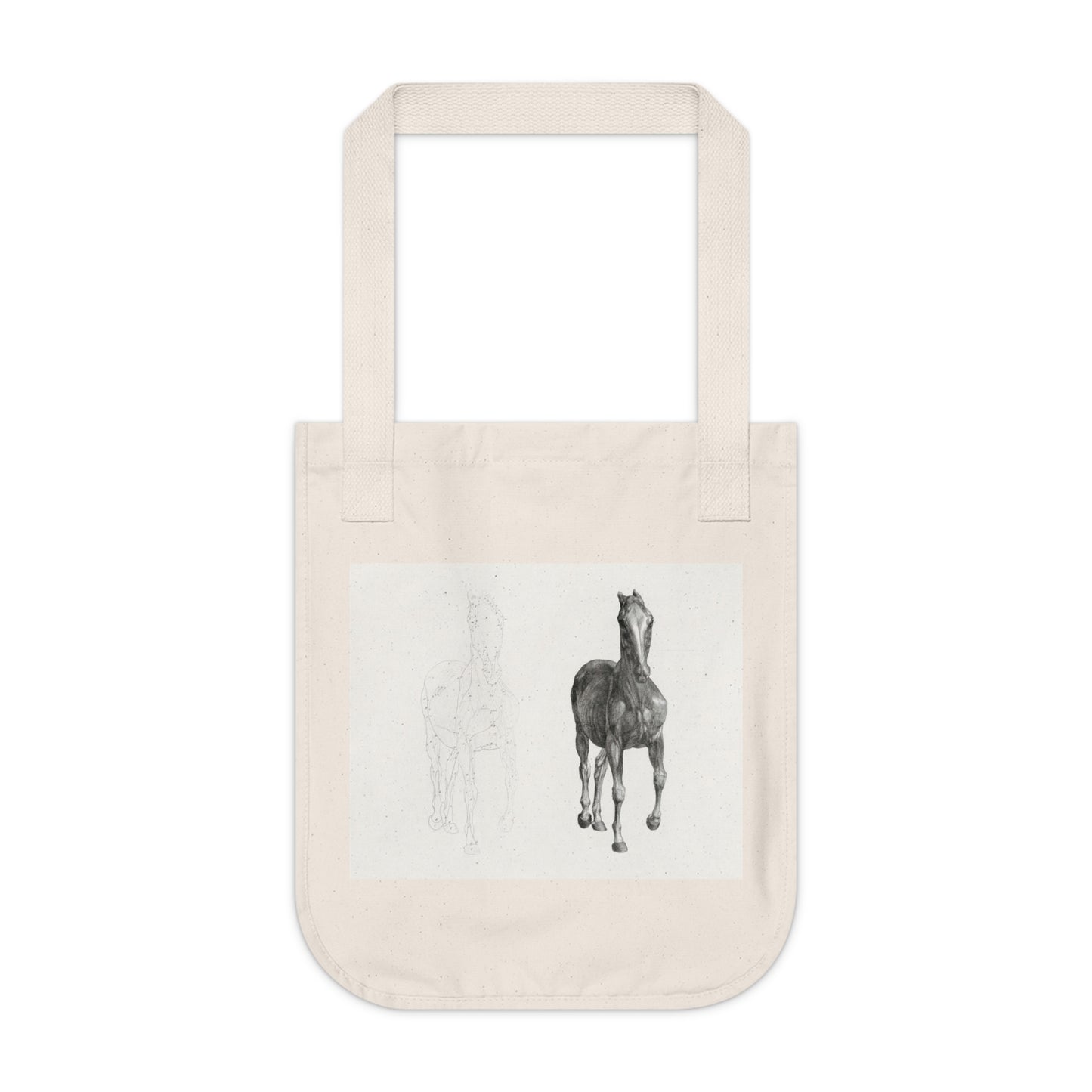 Anatomy of the Horse Organic Canvas Tote Bag