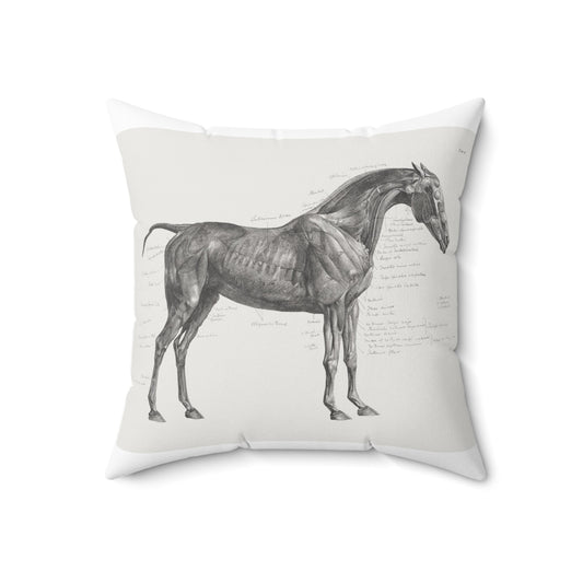 The Anatomy of the Horse cushion