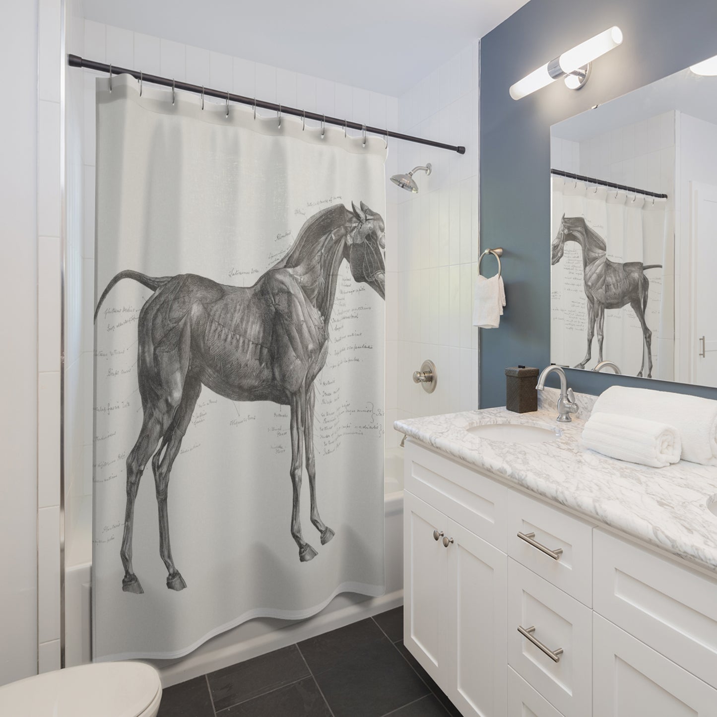 The Anatomy of the Horse Shower Curtain