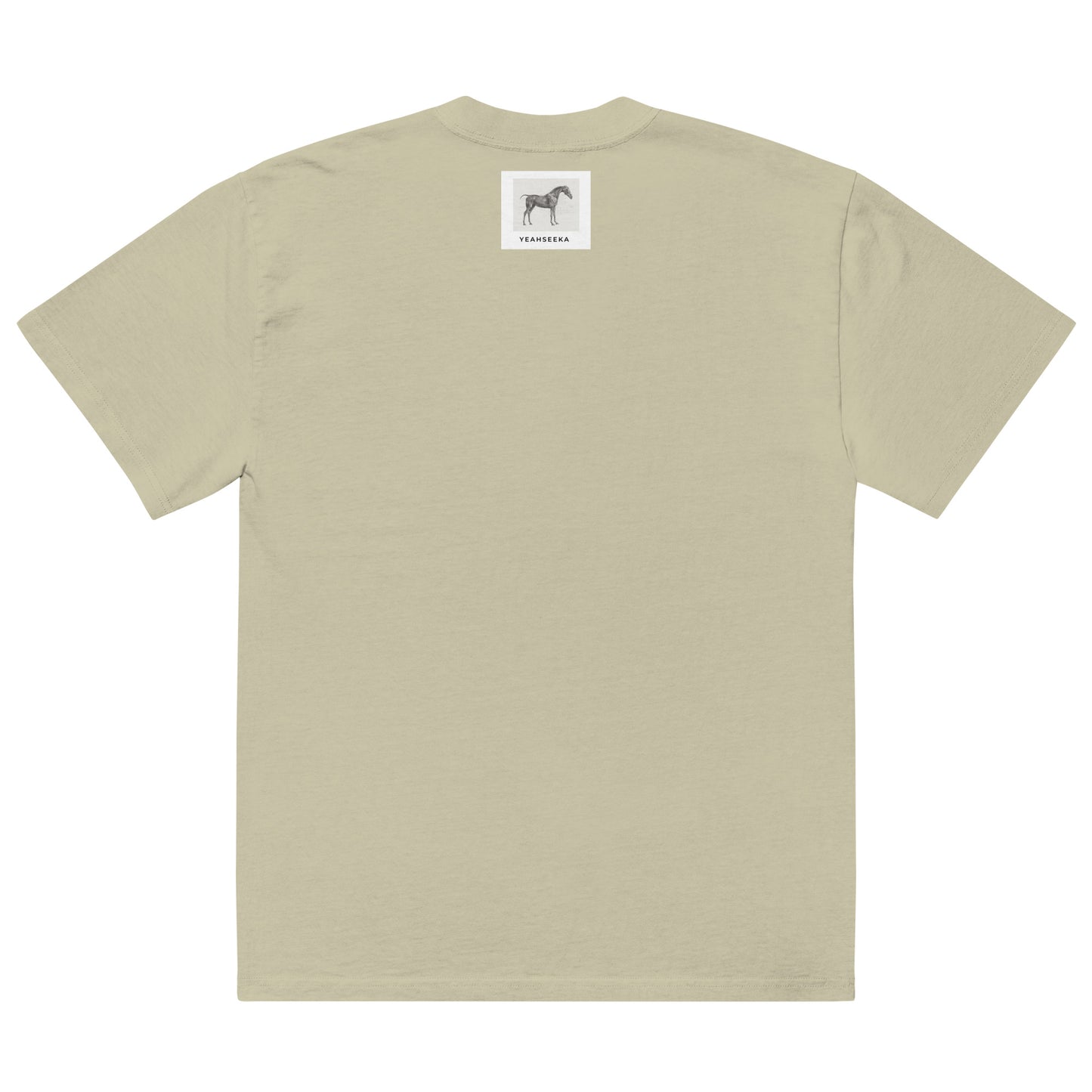 Battle of Anghiari Oversized faded t-shirt